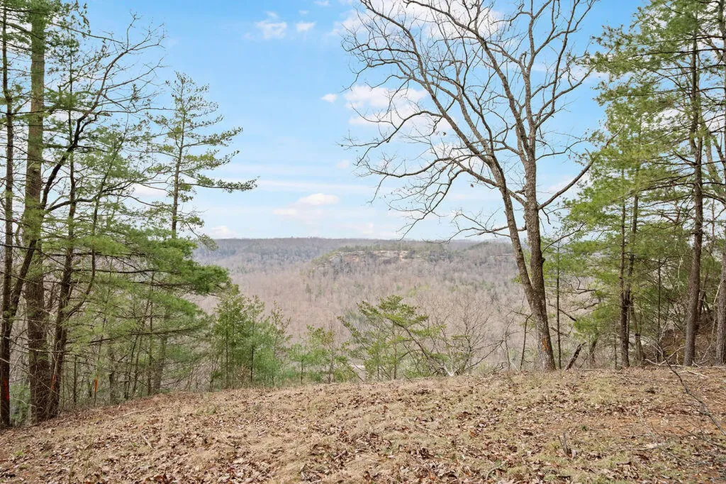4435 Betty Gap Ridge Road Denniston KY 40316