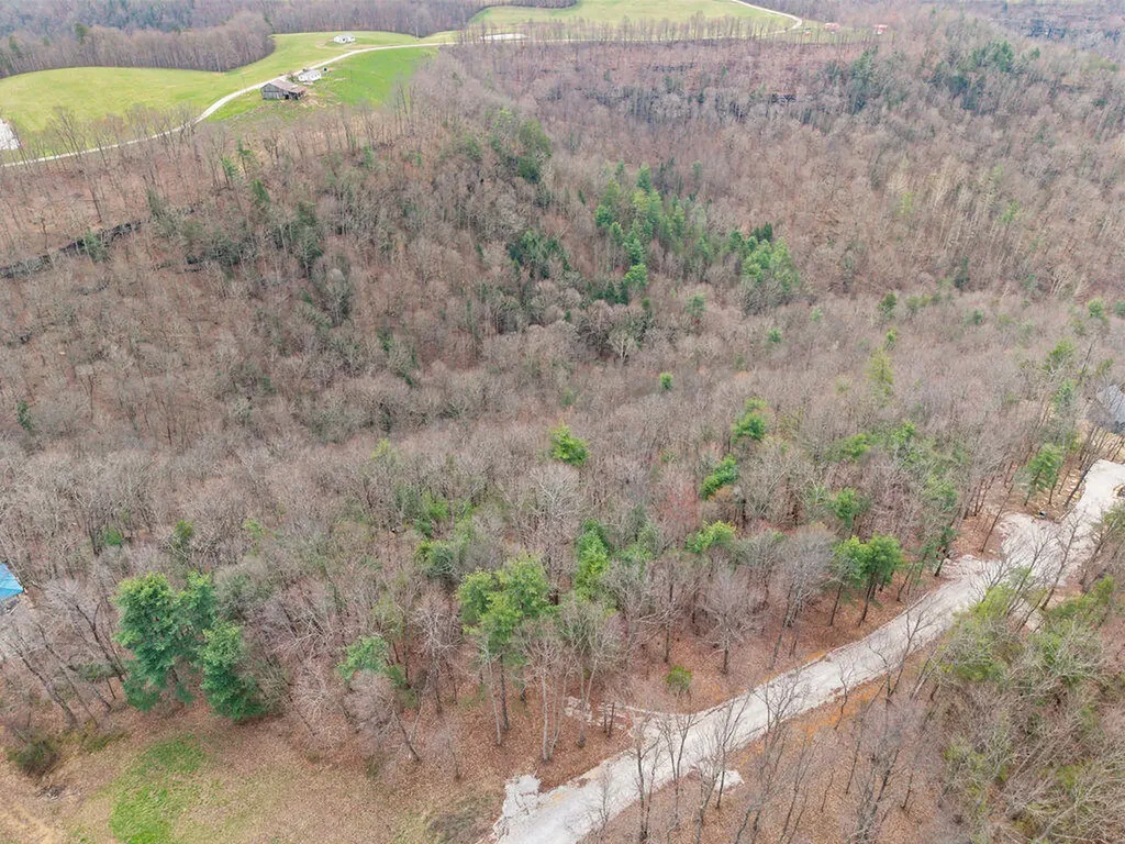 4435 Betty Gap Ridge Road Denniston KY 40316