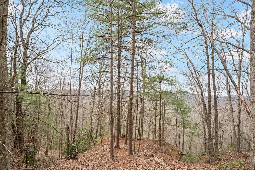 4435 Betty Gap Ridge Road Denniston KY 40316