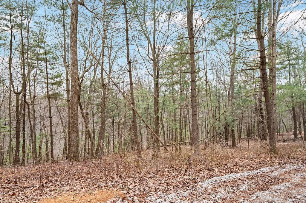 4435 Betty Gap Ridge Road Denniston KY 40316