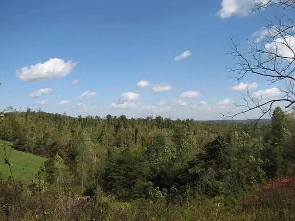 1 Rock Branch Road Parkers Lake KY 42634