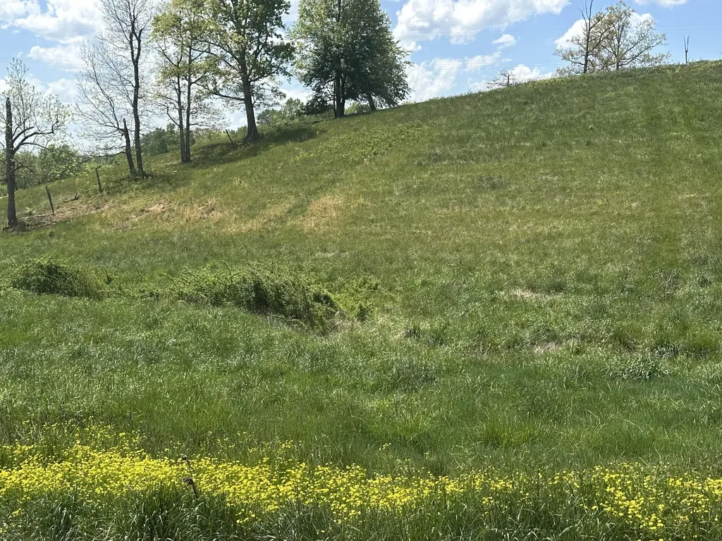 1072 Pittsburg London KY 40741