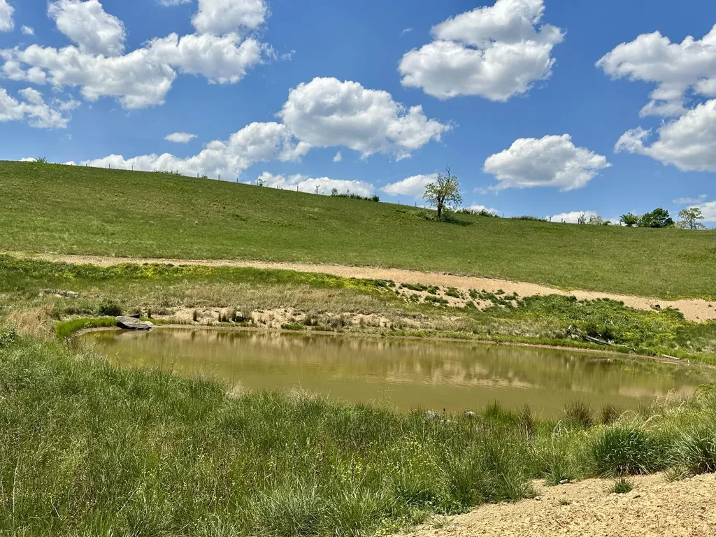 1072 Pittsburg London KY 40741