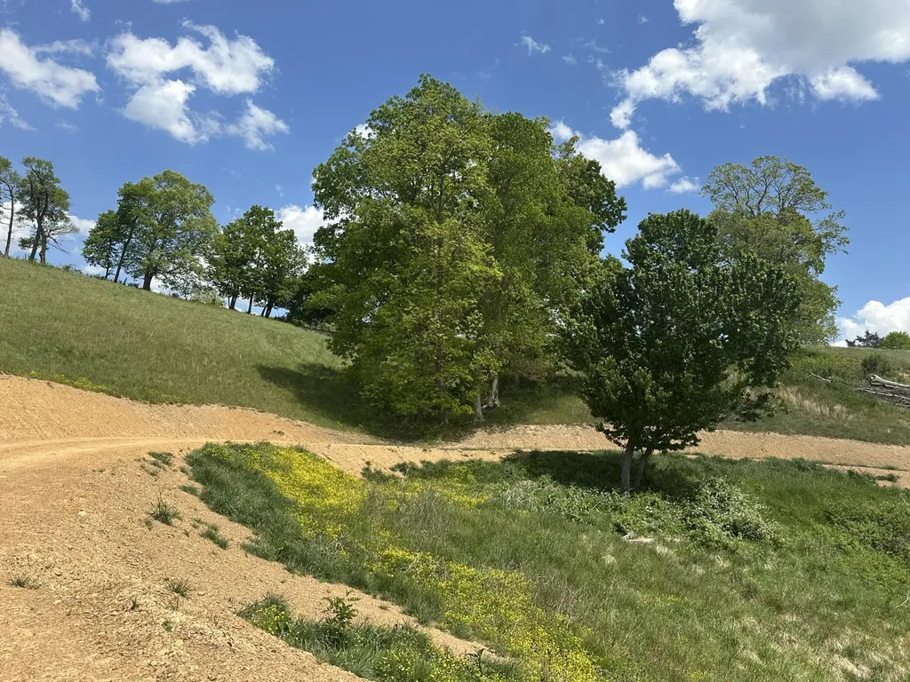 1072 Pittsburg London KY 40741