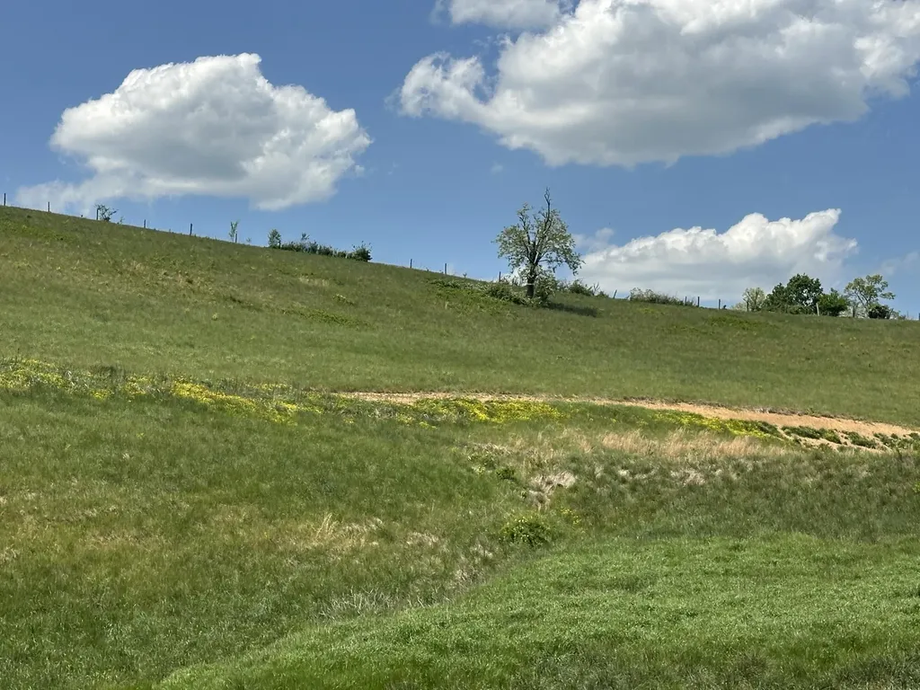 1072 Pittsburg London KY 40741