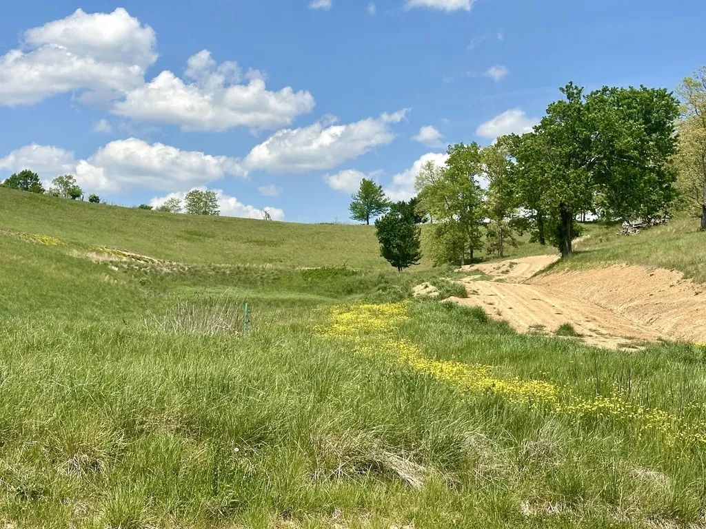 1072 Pittsburg London KY 40741