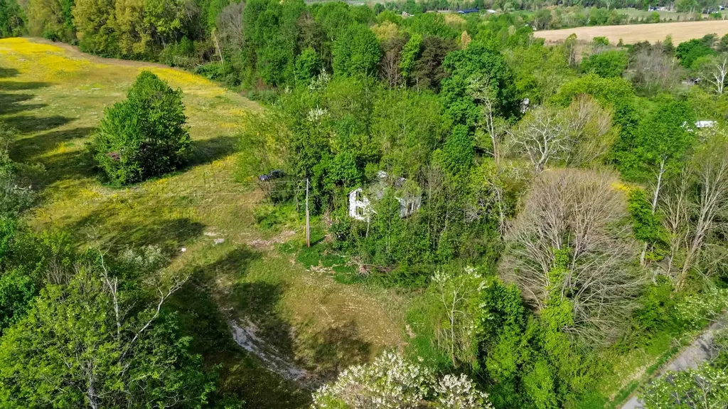 275 Sandidge Road Eubank KY 42567