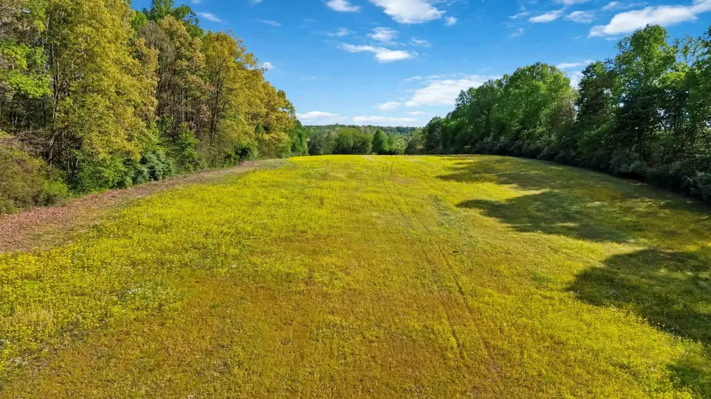 275 Sandidge Road Eubank KY 42567