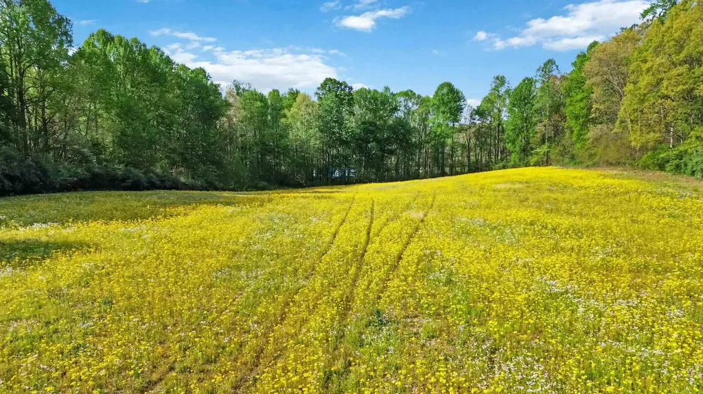 275 Sandidge Road Eubank KY 42567