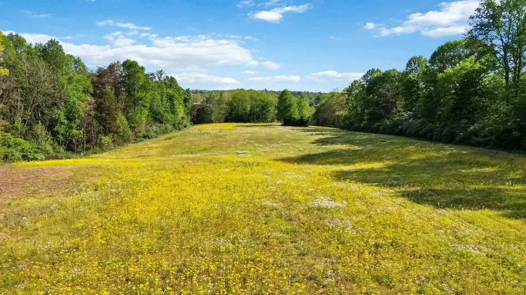 275 Sandidge Road Eubank KY 42567