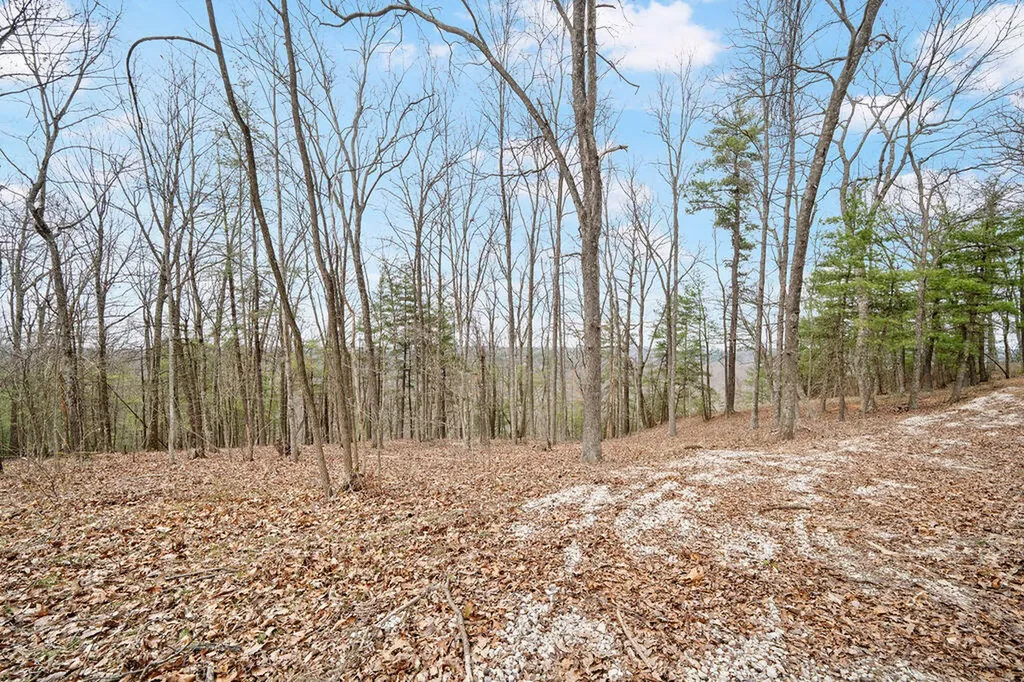 4435 Betty Gap Ridge Road Denniston KY 40316