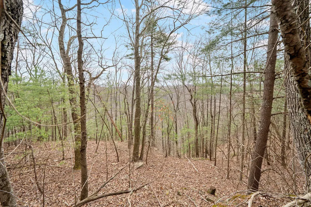 4435 Betty Gap Ridge Road Denniston KY 40316