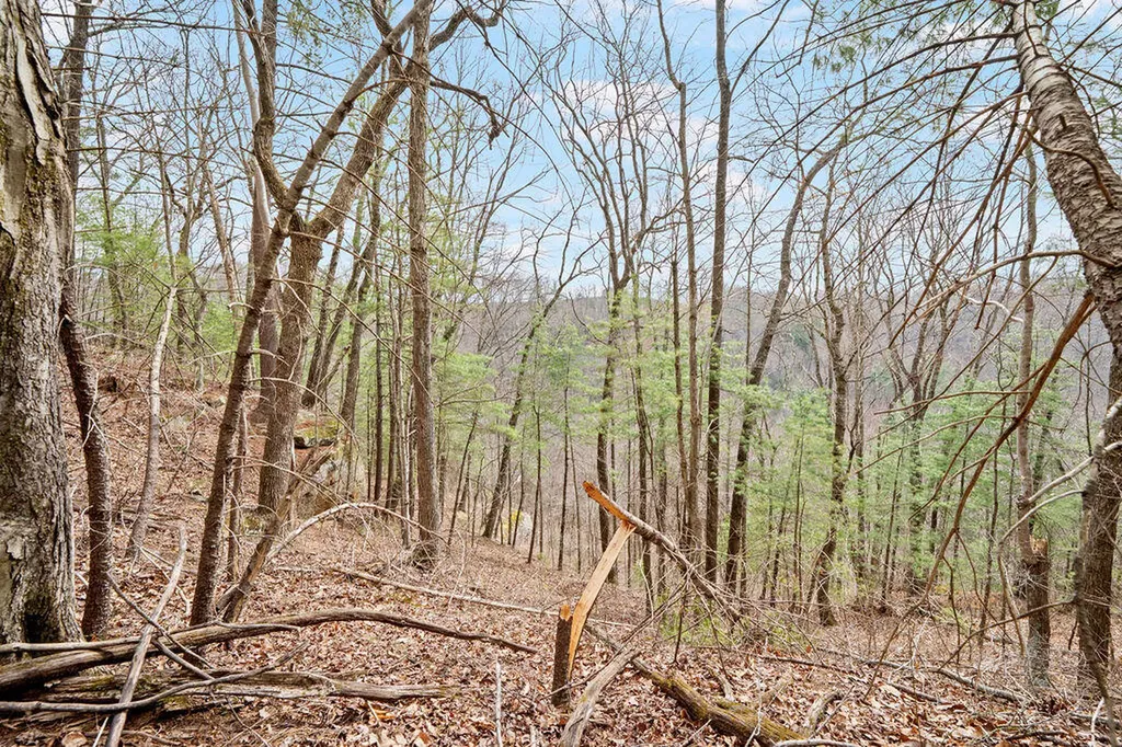 4435 Betty Gap Ridge Road Denniston KY 40316