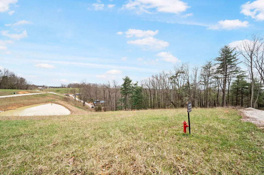 4435 Betty Gap Ridge Road Denniston KY 40316