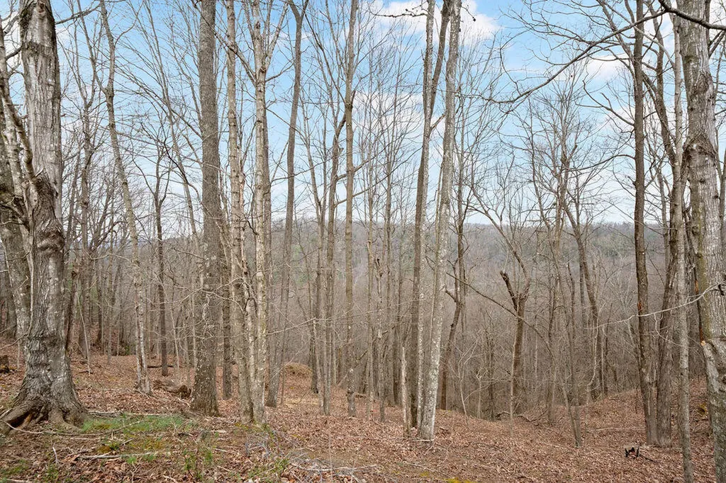 4435 Betty Gap Ridge Road Denniston KY 40316