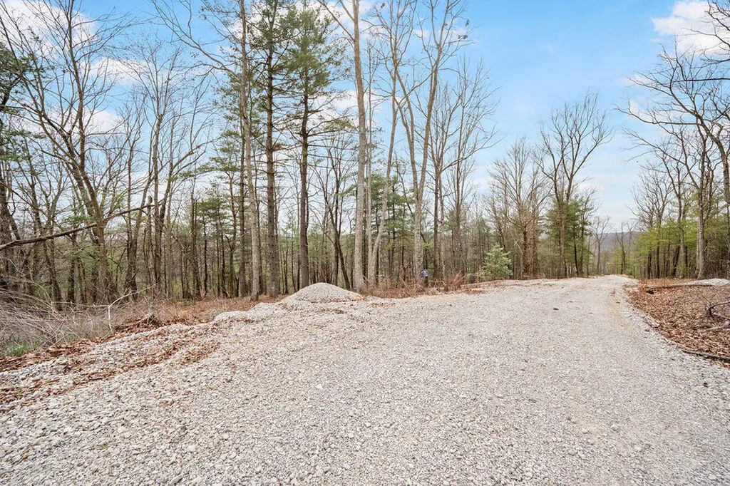 4435 Betty Gap Ridge Road Denniston KY 40316