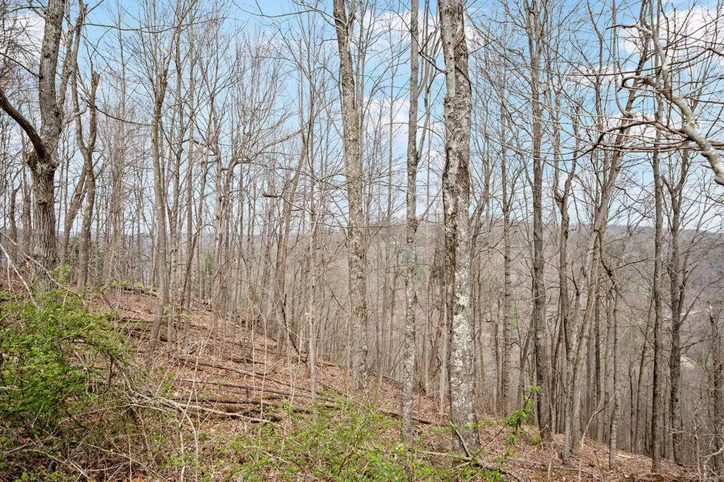 4435 Betty Gap Ridge Road Denniston KY 40316