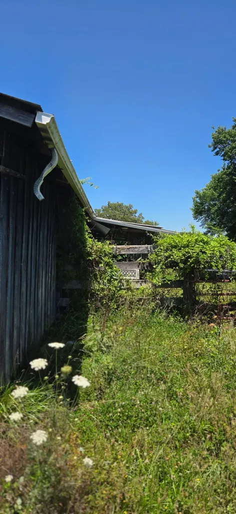 2800 W Ky-204 Williamsburg KY 40769