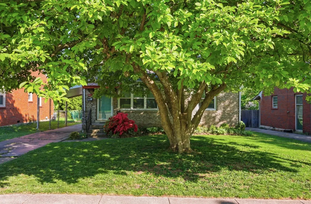 263 Bassett Avenue Lexington KY 40502