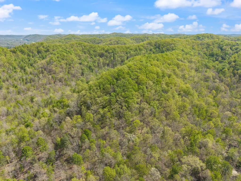 000 Fraley Drive Morehead KY 40351
