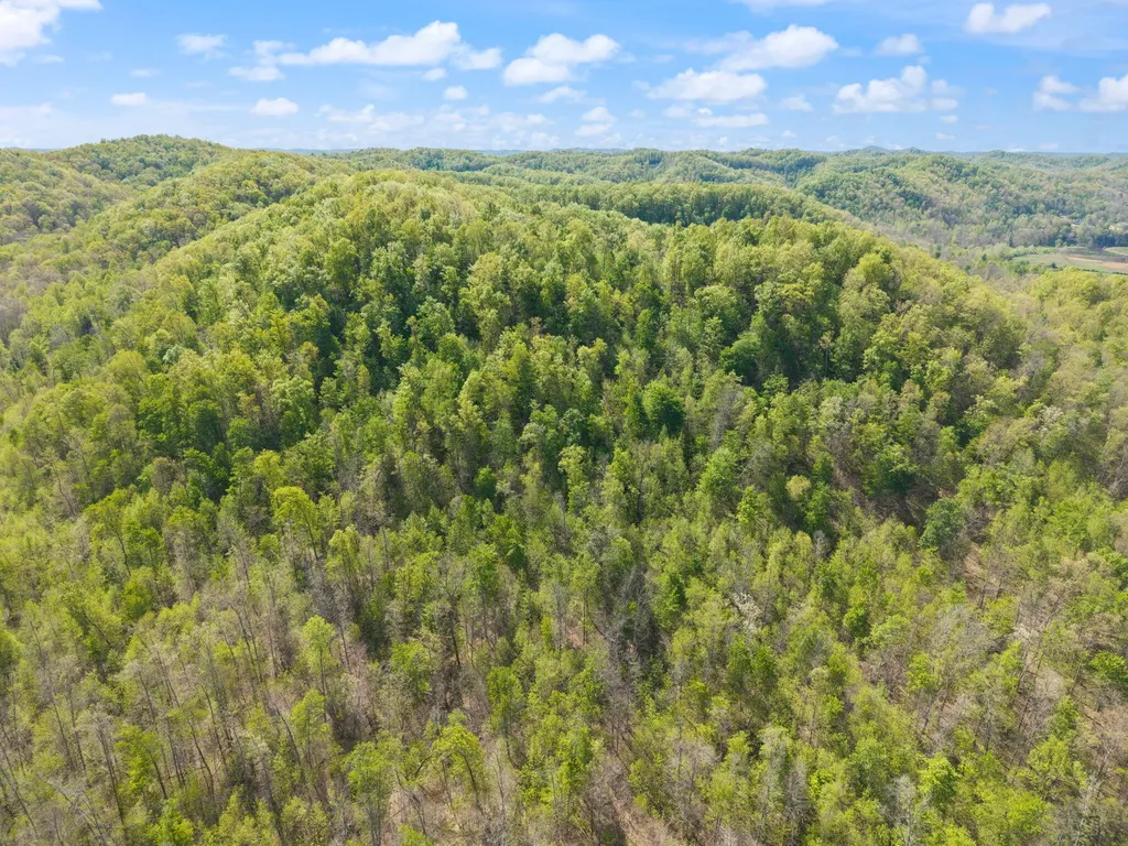 000 Fraley Drive Morehead KY 40351