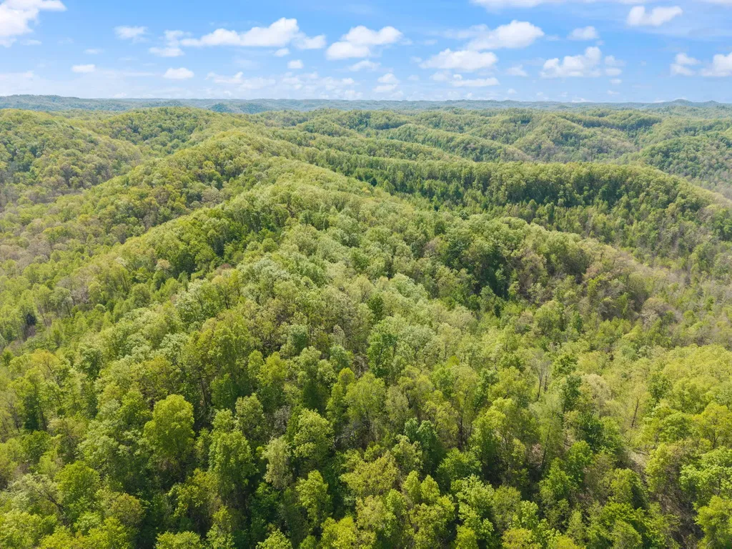 000 Fraley Drive Morehead KY 40351