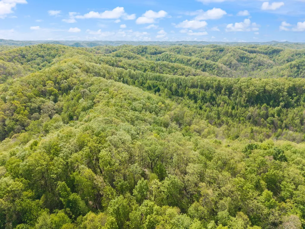 000 Fraley Drive Morehead KY 40351