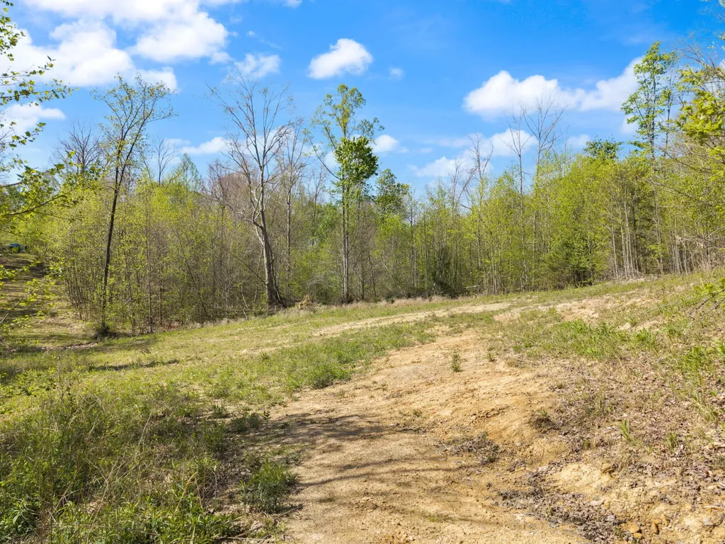 000 Fraley Drive Morehead KY 40351