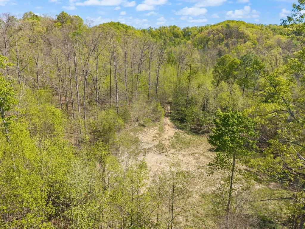 000 Fraley Drive Morehead KY 40351