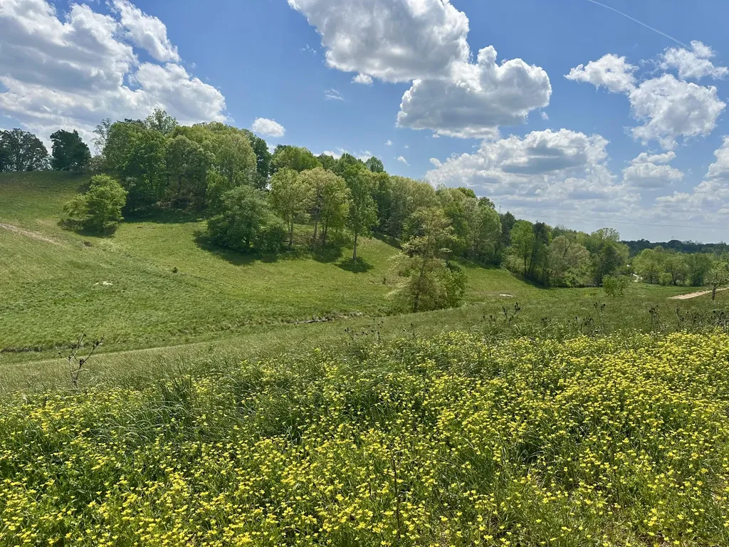 950 Pittsburg Landing London KY 40741