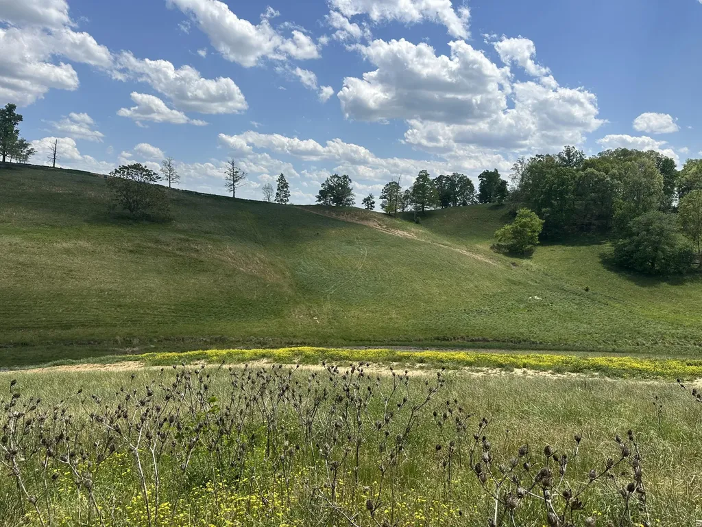 950 Pittsburg Landing London KY 40741