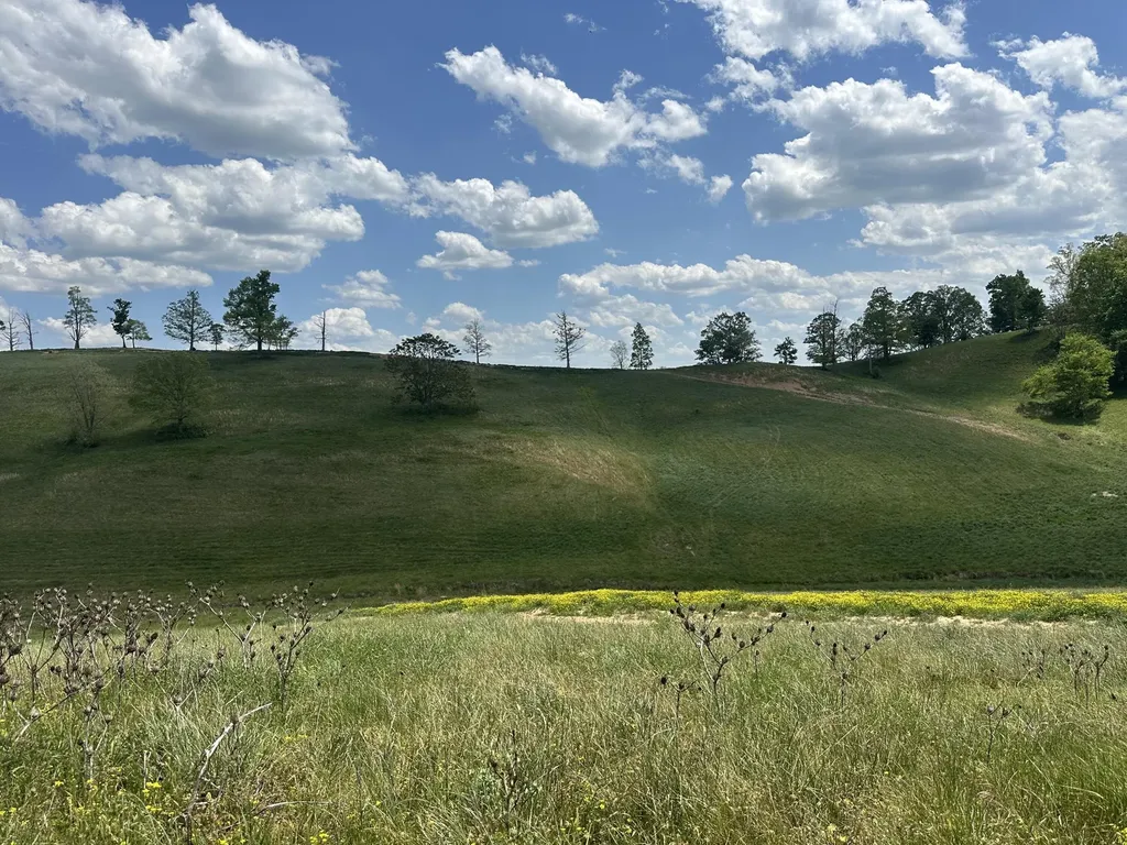 950 Pittsburg Landing London KY 40741