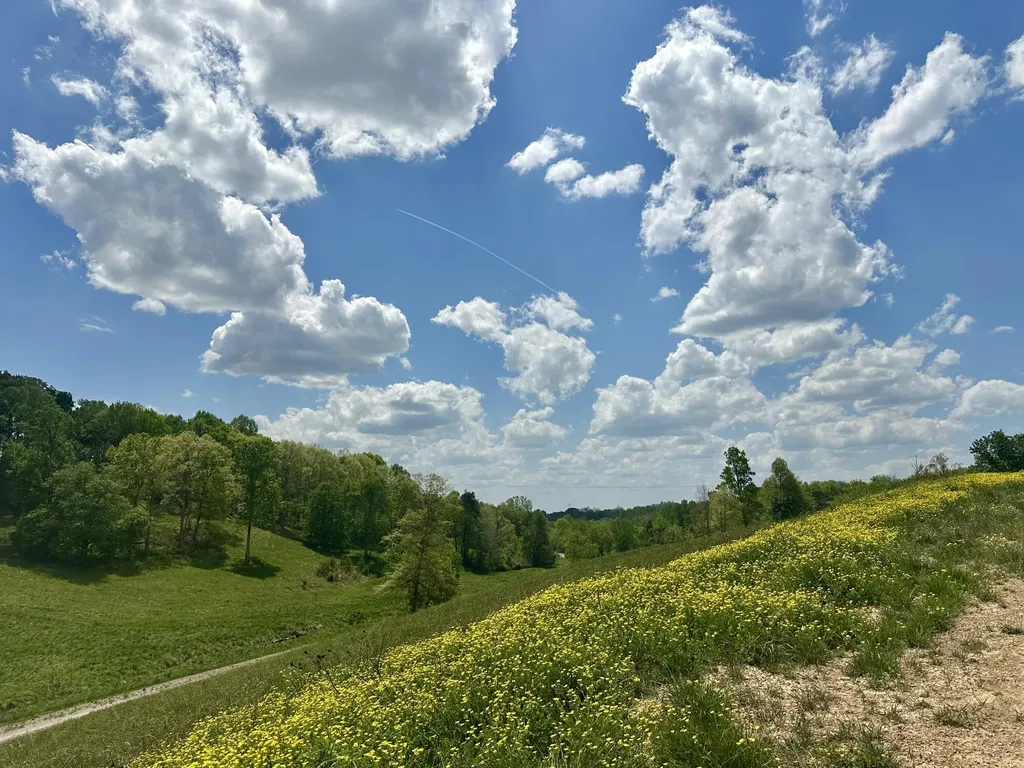950 Pittsburg Landing London KY 40741