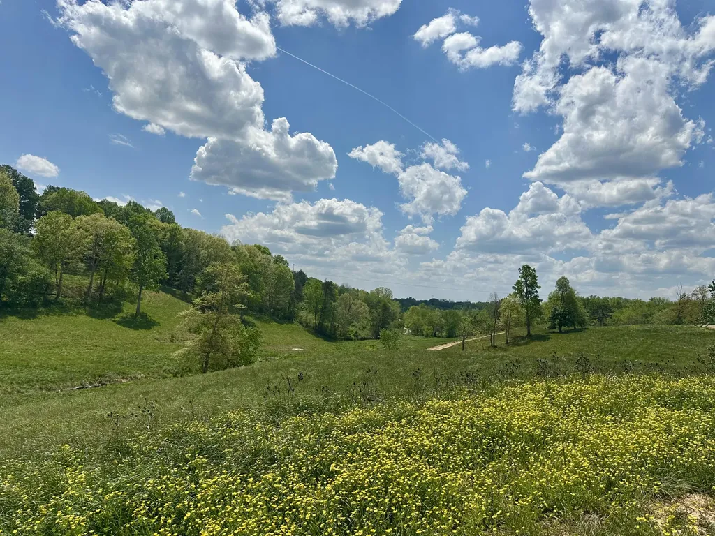 950 Pittsburg Landing London KY 40741