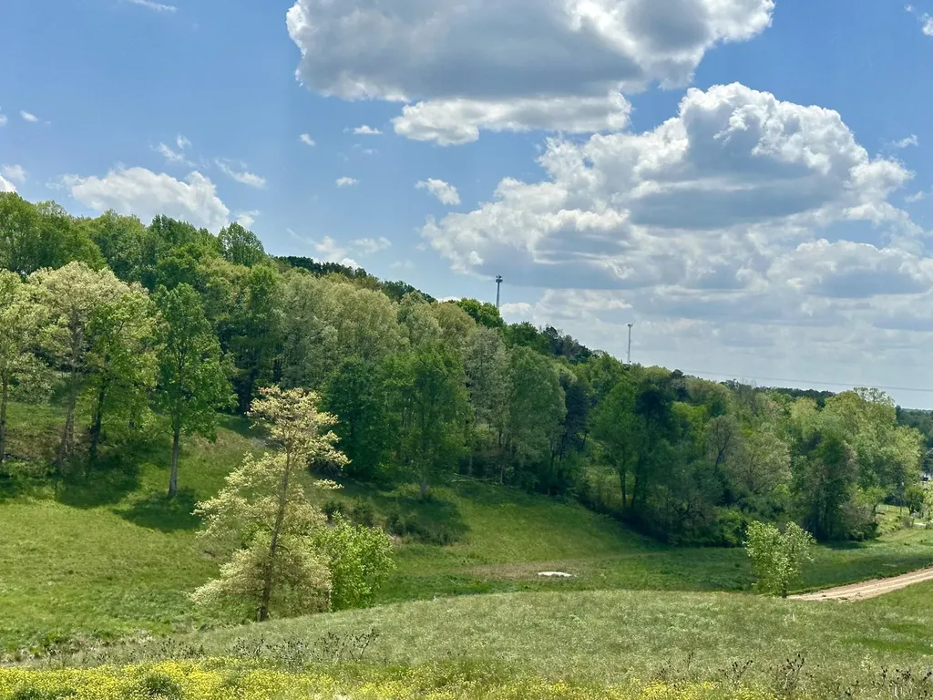 950 Pittsburg Landing London KY 40741