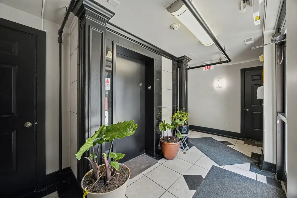 261 S Limestone Lexington KY 40508