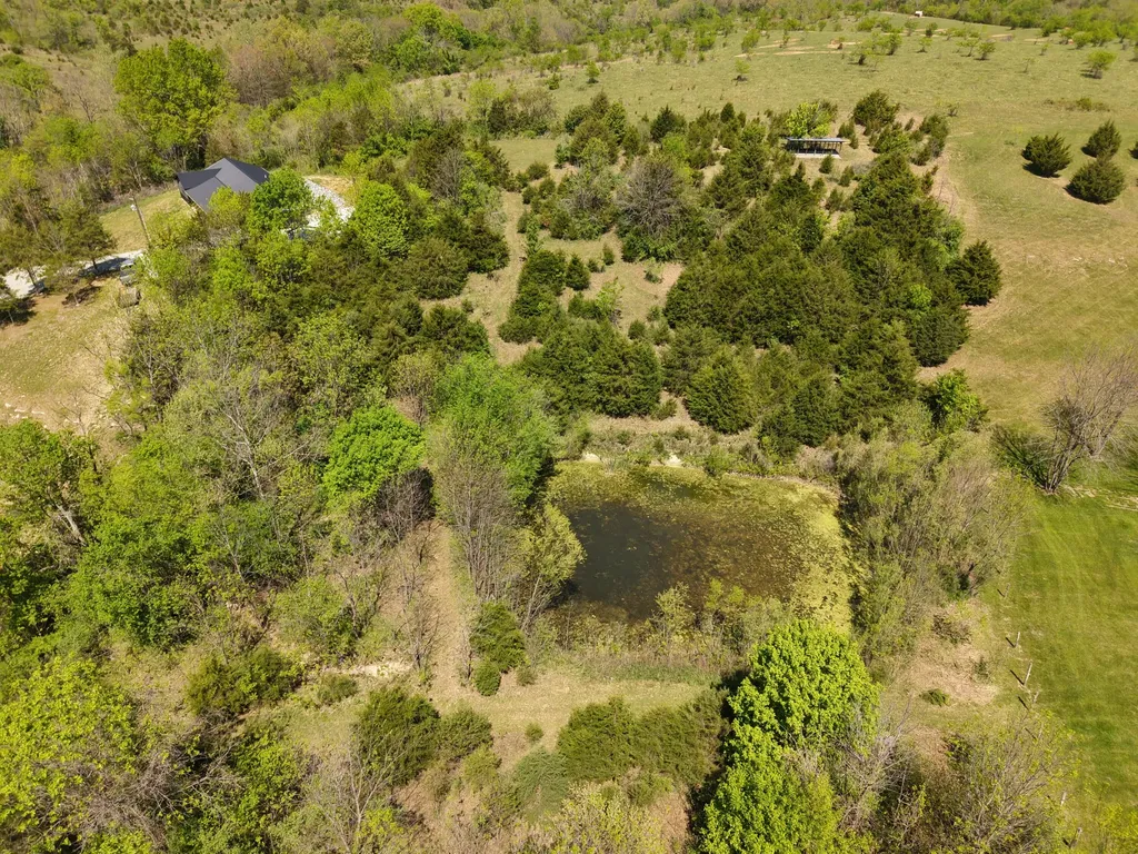 495 Newton Road Springfield KY 40069