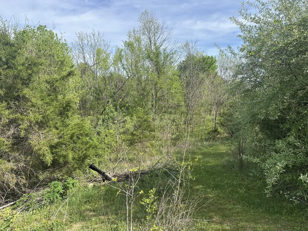 495 Newton Road Springfield KY 40069