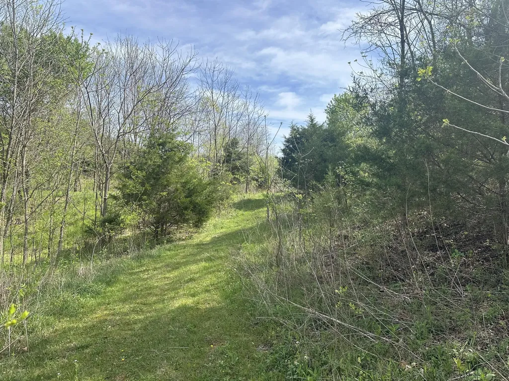 495 Newton Road Springfield KY 40069