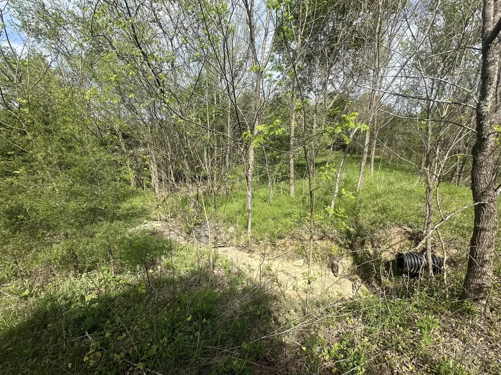 495 Newton Road Springfield KY 40069