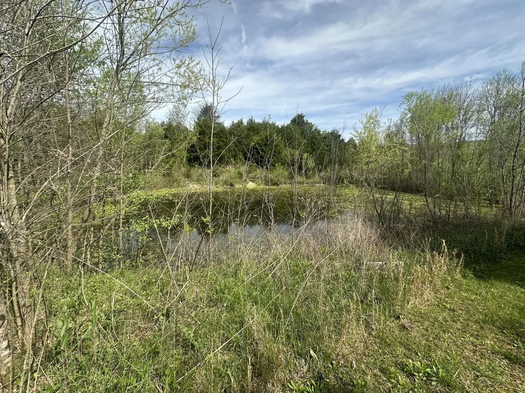 495 Newton Road Springfield KY 40069