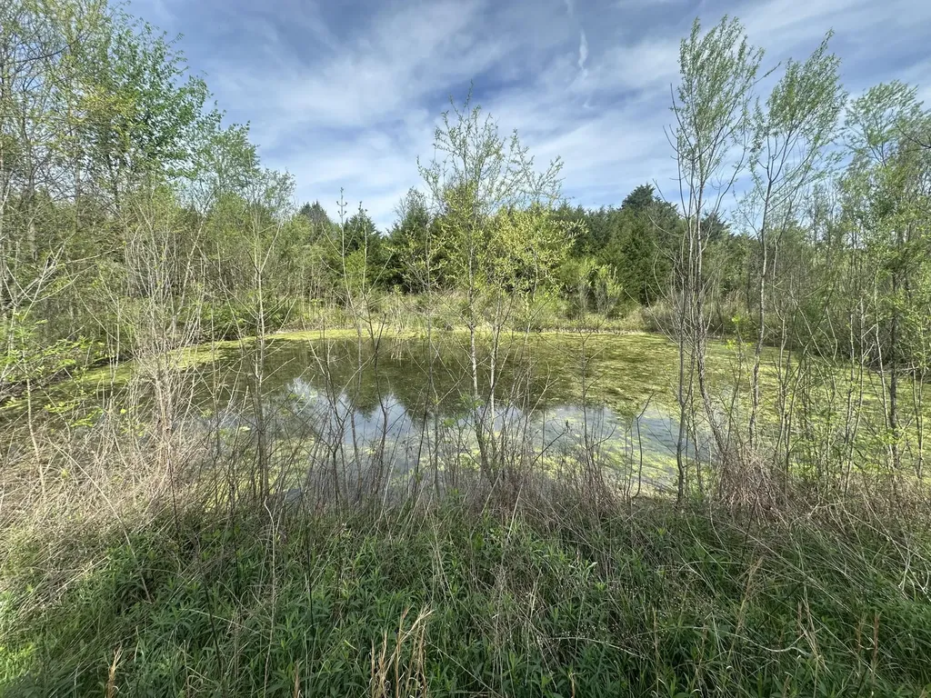 495 Newton Road Springfield KY 40069