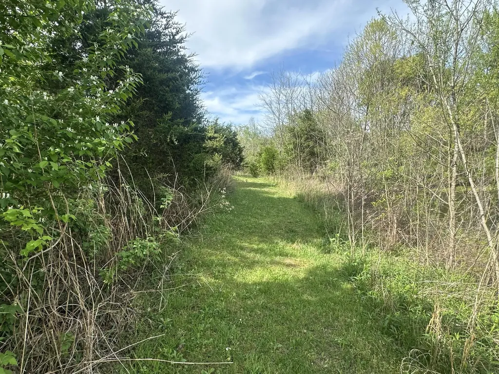 495 Newton Road Springfield KY 40069