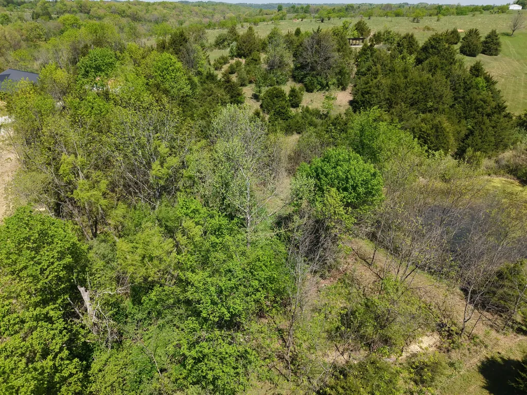 495 Newton Road Springfield KY 40069