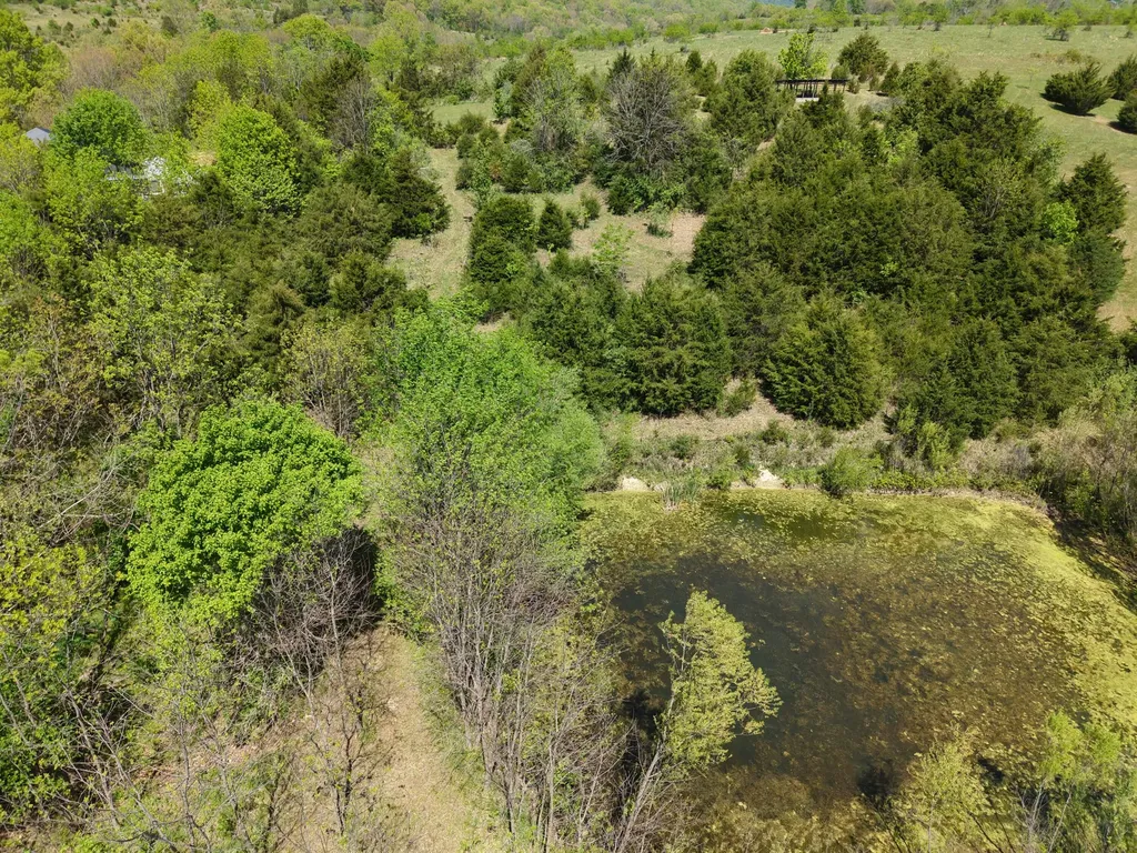 495 Newton Road Springfield KY 40069