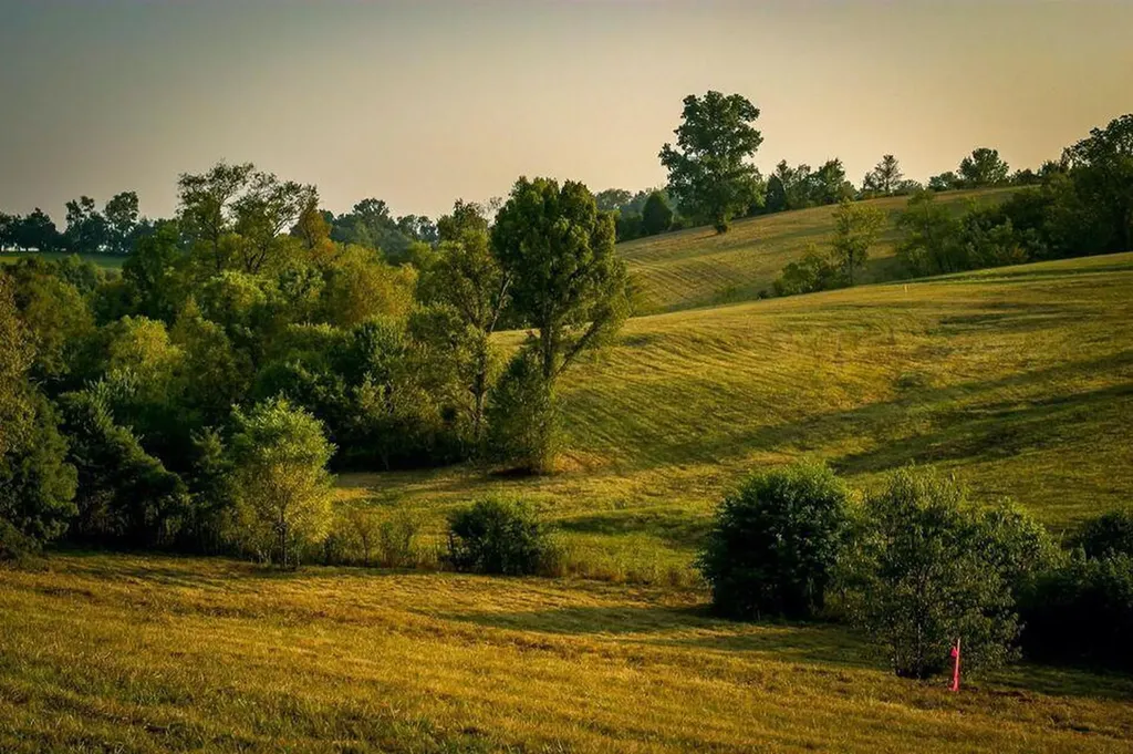 00 Deer Chase Road Stanford KY 40484