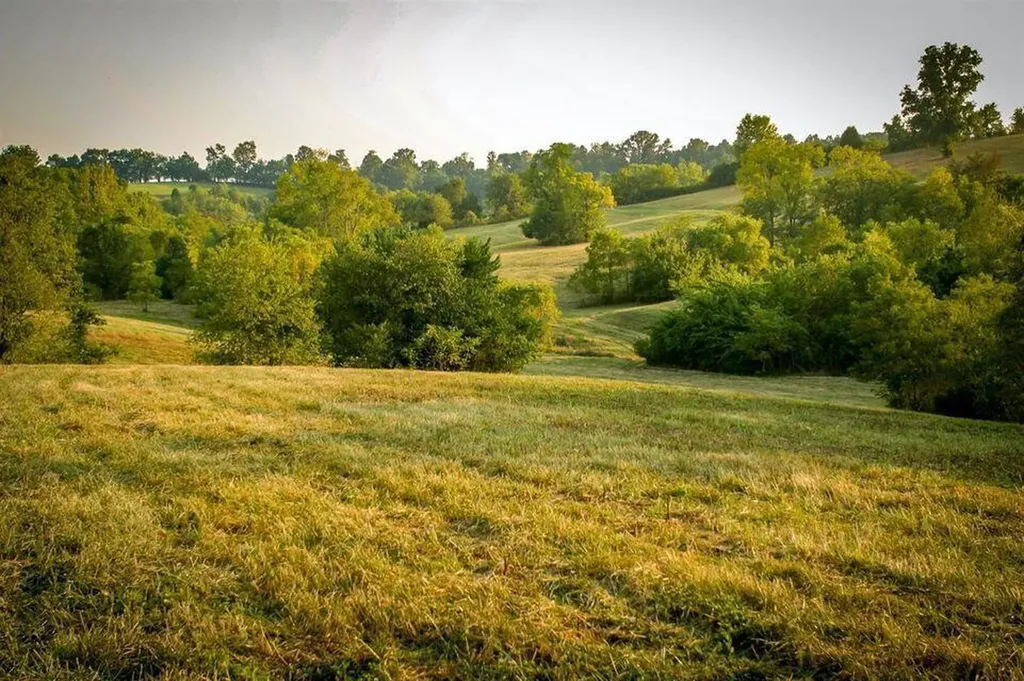 00 Deer Chase Road Stanford KY 40484