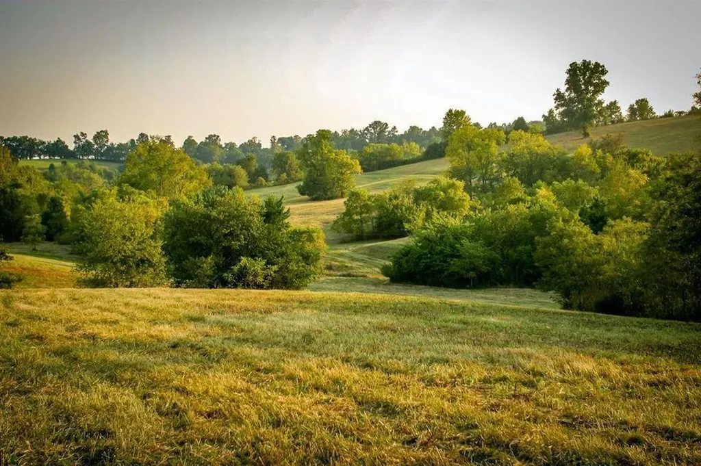00 Deer Chase Road Stanford KY 40484