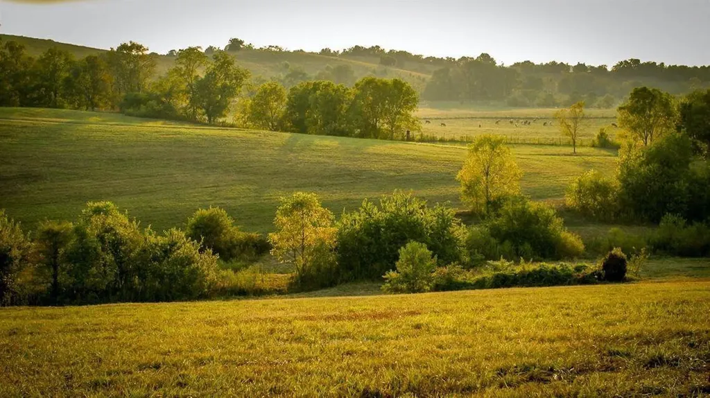 00 Deer Chase Road Stanford KY 40484