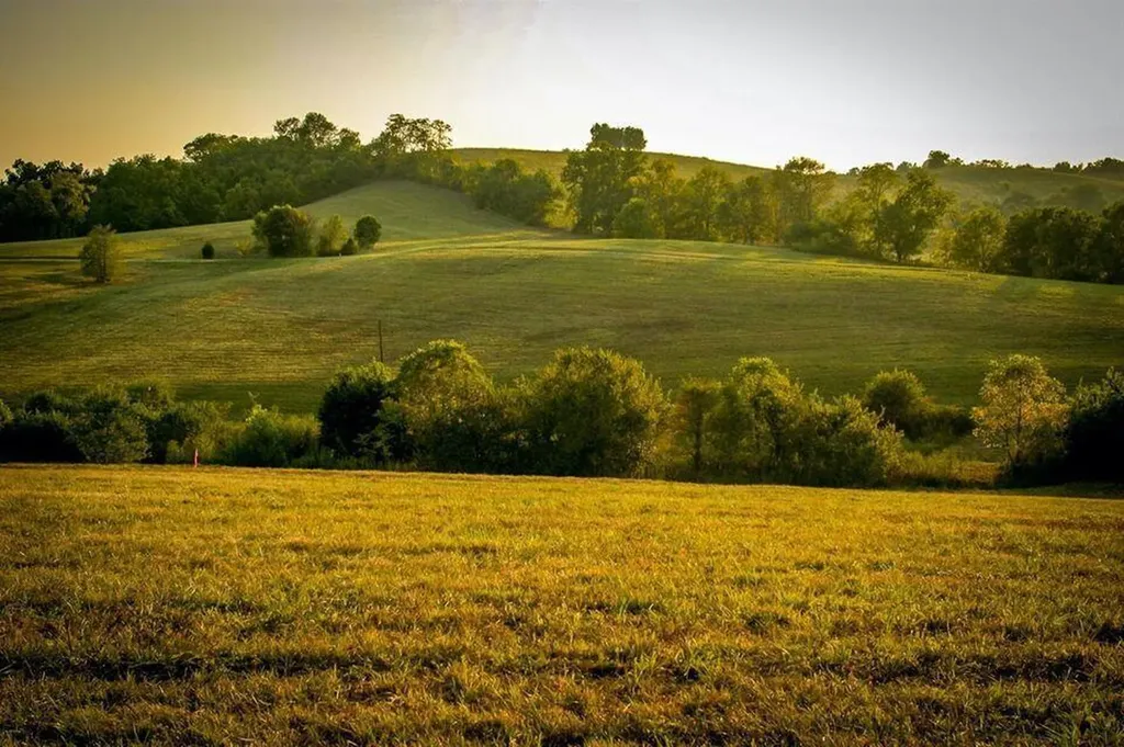 00 Deer Chase Road Stanford KY 40484